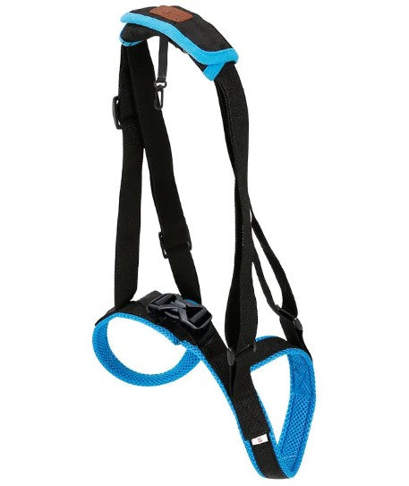 GraySnout Dog Leg Walking Support Strap