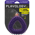 Playology Silver Dental Chew Ring for Senior Dogs — Large/XL