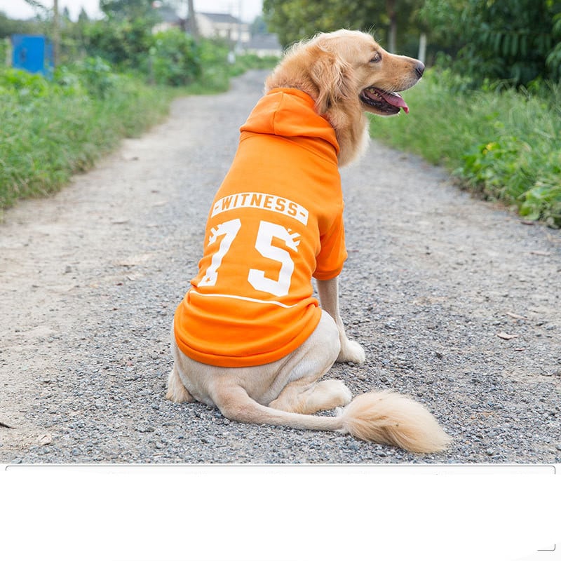 GraySnout Classic Dog Vest — Durable Multi-Size Apparel