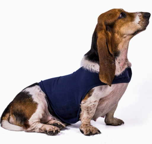 GraySnout Anxiety Relief Calming Jacket for Dogs