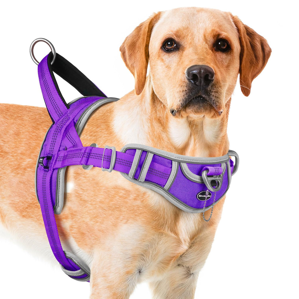 GraySnout No-Pull Reflective Harness — Front Clip Training Vest