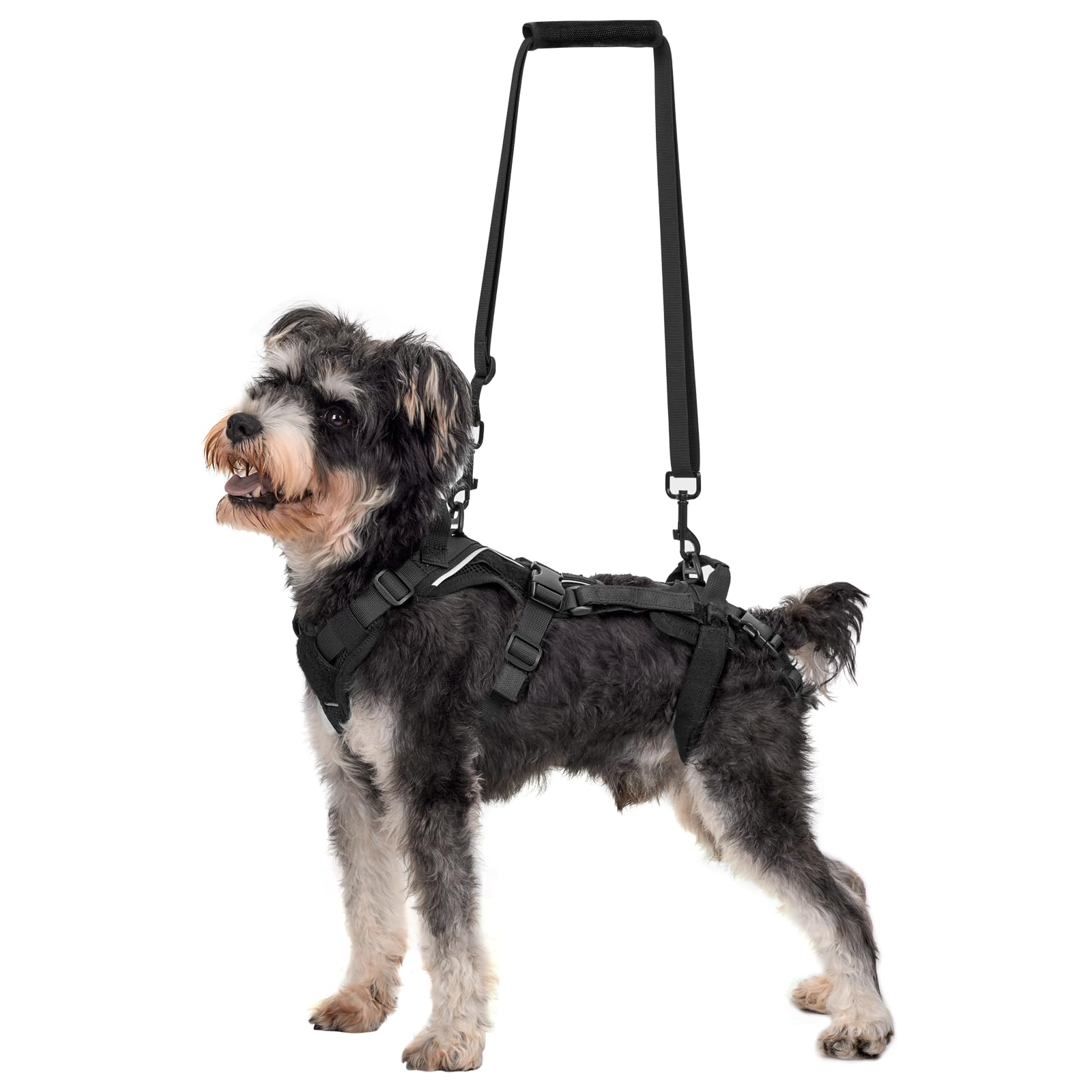 GraySnout Full Body Dog Lift Harness — Small Dog Hind Leg Support