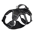 GraySnout 5-Point Lift Harness — Anti-Escape Support Design